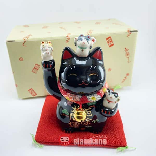 neko 7144BK_3