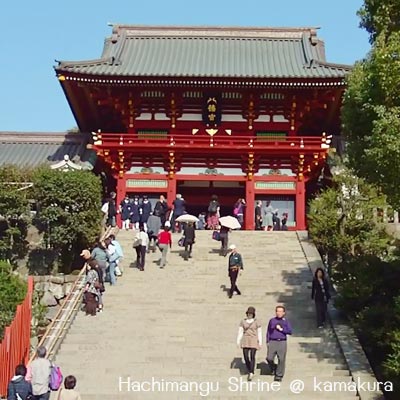 hachimangu shrine